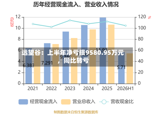 远望谷：上半年净亏损9580.95万元，同比转亏