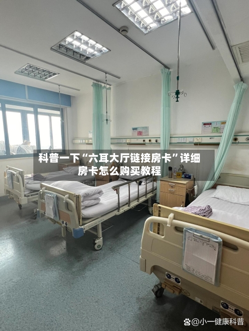 科普一下“六耳大厅链接房卡	”详细房卡怎么购买教程-第3张图片