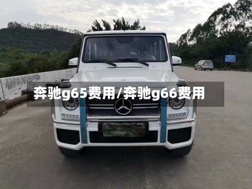 奔驰g65费用/奔驰g66费用-第3张图片