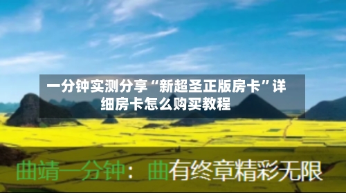 一分钟实测分享“新超圣正版房卡”详细房卡怎么购买教程-第2张图片