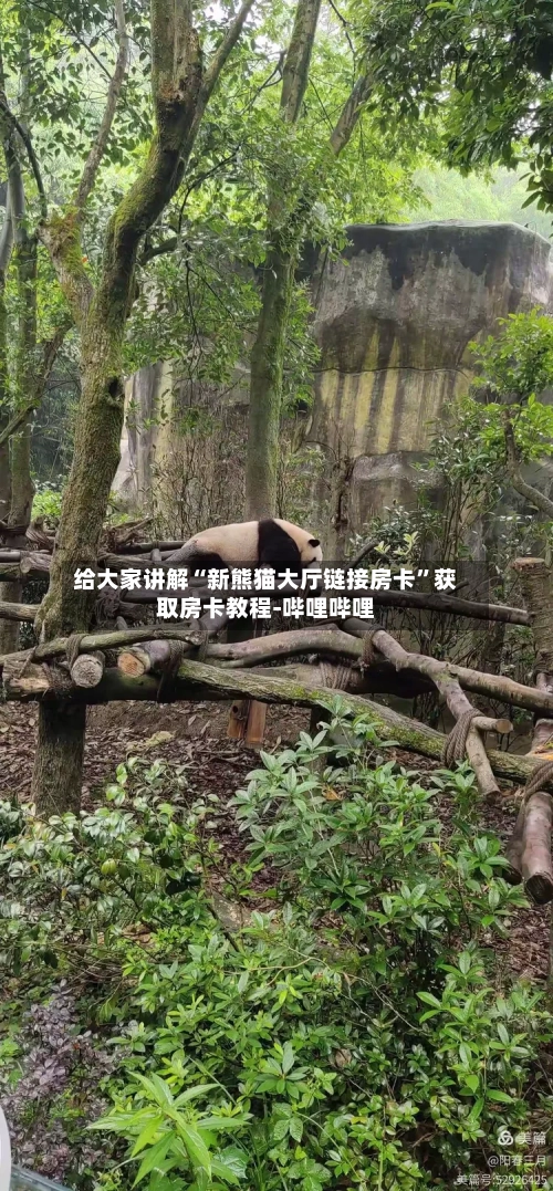 给大家讲解“新熊猫大厅链接房卡”获取房卡教程-哔哩哔哩-第3张图片