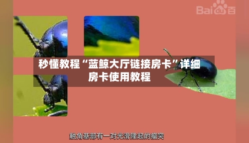 秒懂教程“蓝鲸大厅链接房卡”详细房卡使用教程-第2张图片