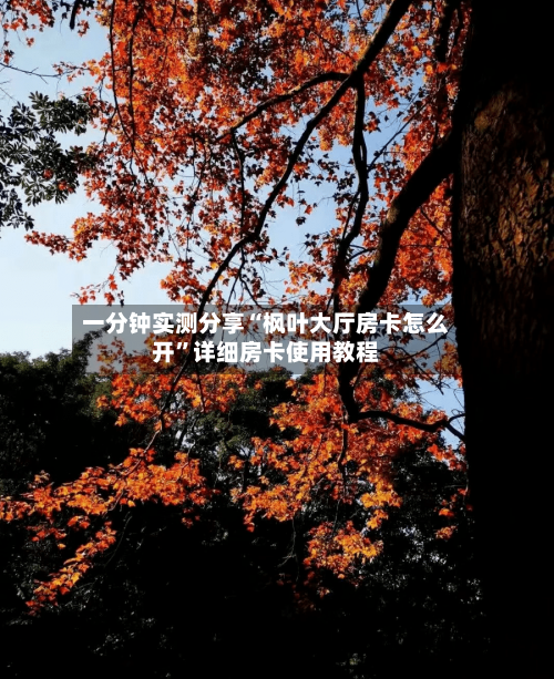 一分钟实测分享“枫叶大厅房卡怎么开”详细房卡使用教程-第2张图片