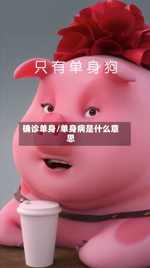 确诊单身/单身病是什么意思-第2张图片