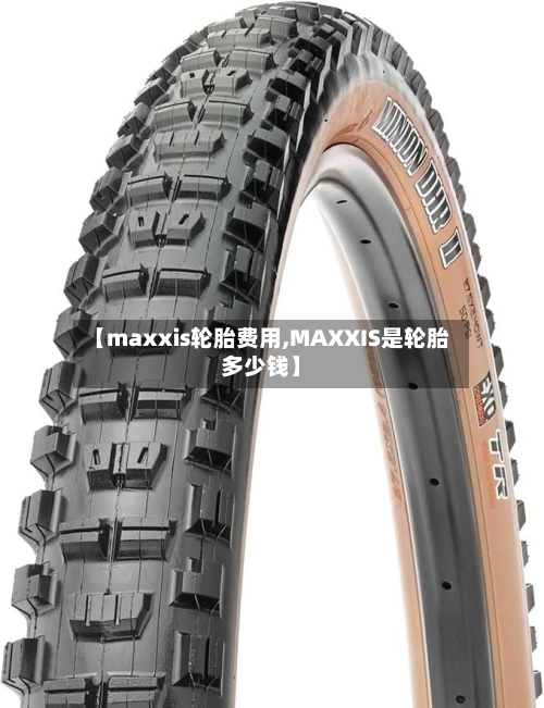 【maxxis轮胎费用,MAXXIS是轮胎多少钱】