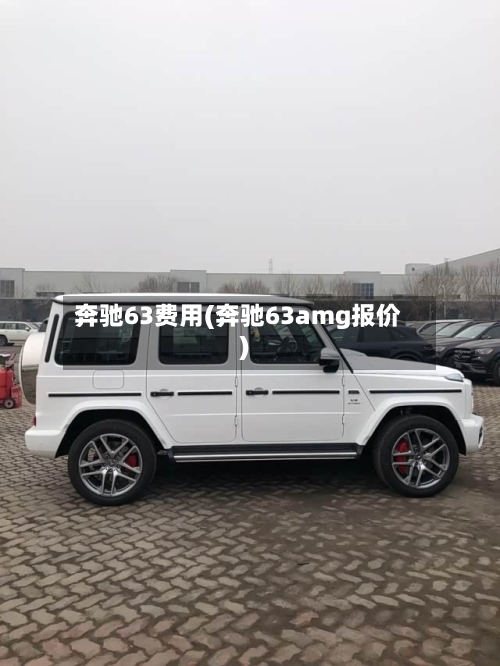 奔驰63费用(奔驰63amg报价)-第2张图片