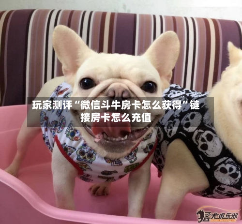 玩家测评“微信斗牛房卡怎么获得”链接房卡怎么充值-第2张图片