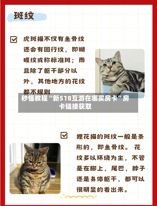 秒懂教程“新518互游在哪买房卡”房卡链接获取-第2张图片