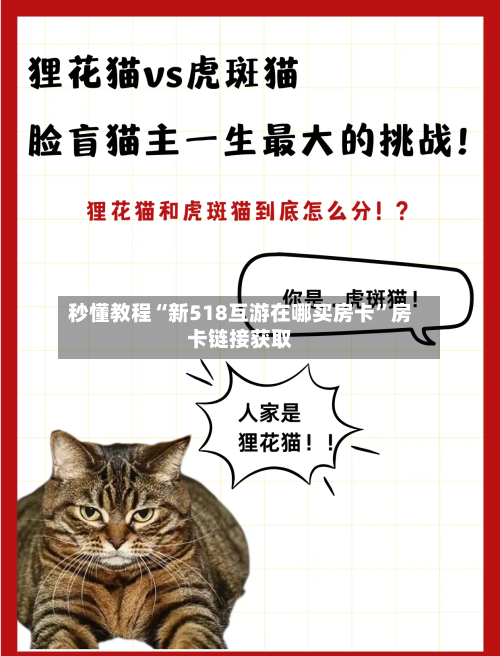 秒懂教程“新518互游在哪买房卡”房卡链接获取-第3张图片
