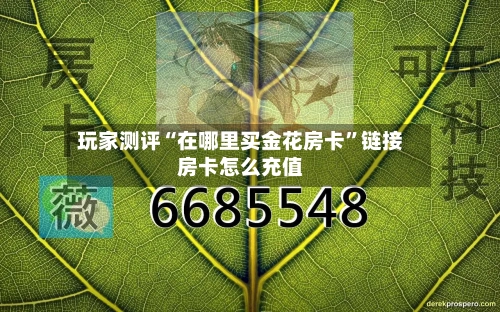 玩家测评“在哪里买金花房卡”链接房卡怎么充值-第2张图片