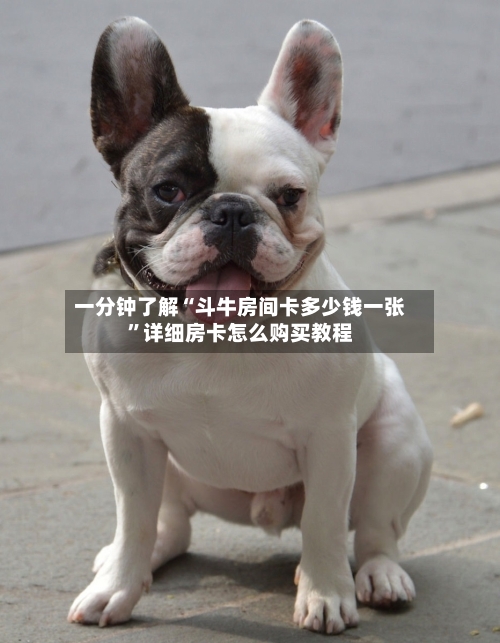 一分钟了解“斗牛房间卡多少钱一张	”详细房卡怎么购买教程-第2张图片