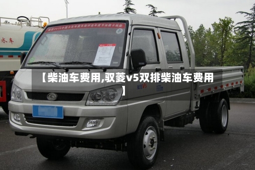 【柴油车费用,驭菱v5双排柴油车费用】