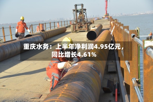 重庆水务：上半年净利润4.95亿元，同比增长4.61%-第3张图片