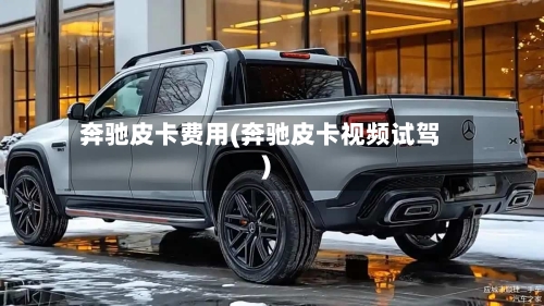 奔驰皮卡费用(奔驰皮卡视频试驾)-第2张图片
