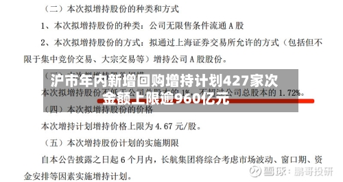 沪市年内新增回购增持计划427家次 金额上限逾960亿元