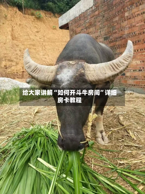 给大家讲解“如何开斗牛房间”详细房卡教程-第2张图片
