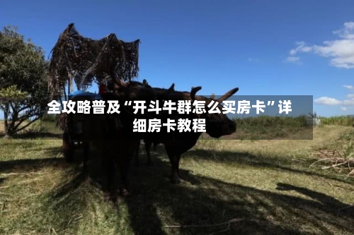 全攻略普及“开斗牛群怎么买房卡	”详细房卡教程-第3张图片
