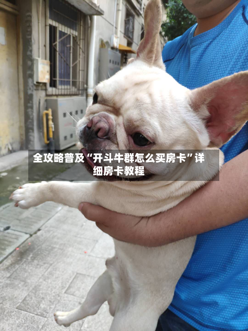 全攻略普及“开斗牛群怎么买房卡”详细房卡教程-第2张图片