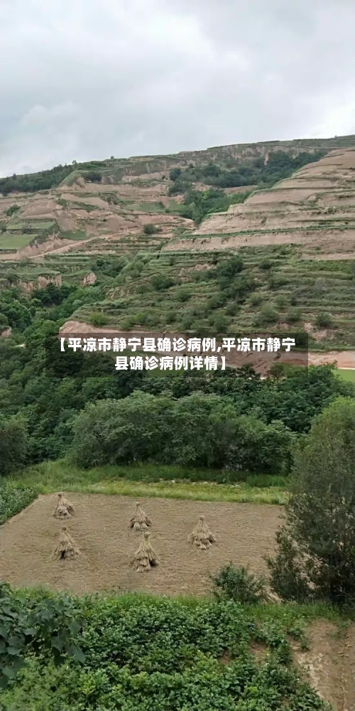 【平凉市静宁县确诊病例,平凉市静宁县确诊病例详情】