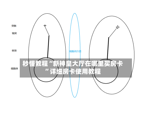 秒懂教程“新神皇大厅在哪里买房卡”详细房卡使用教程-第2张图片