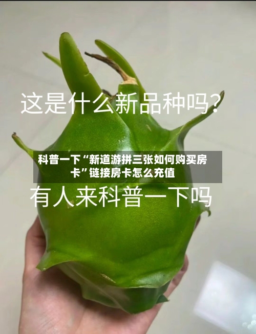 科普一下“新道游拼三张如何购买房卡”链接房卡怎么充值-第2张图片