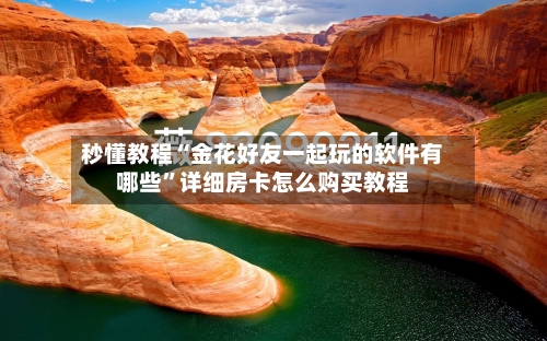 秒懂教程“金花好友一起玩的软件有哪些”详细房卡怎么购买教程-第2张图片