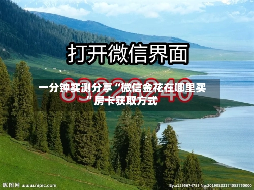 一分钟实测分享“微信金花在哪里买”房卡获取方式-第2张图片