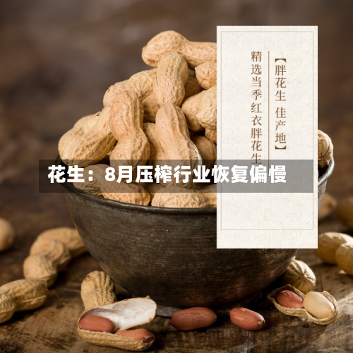 花生:8月压榨行业恢复偏慢-第1张图片