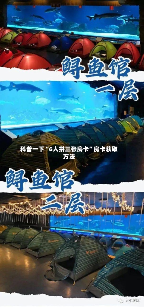 科普一下“6人拼三张房卡”房卡获取方法-第2张图片