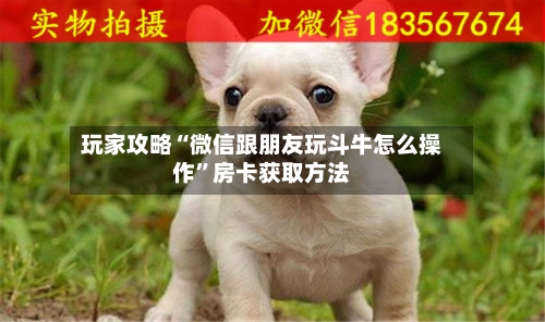 玩家攻略“微信跟朋友玩斗牛怎么操作”房卡获取方法-第2张图片