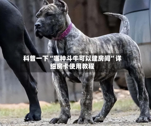科普一下“哪种斗牛可以建房间”详细房卡使用教程-第2张图片