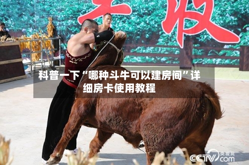 科普一下“哪种斗牛可以建房间	”详细房卡使用教程-第3张图片