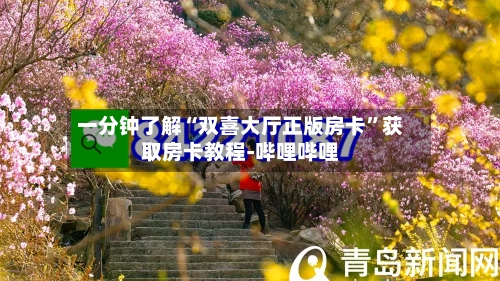 一分钟了解“双喜大厅正版房卡”获取房卡教程-哔哩哔哩-第2张图片