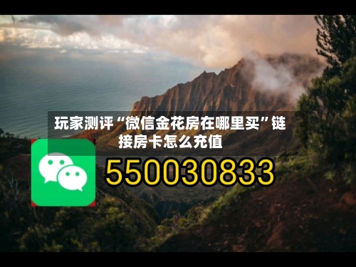玩家测评“微信金花房在哪里买”链接房卡怎么充值-第2张图片