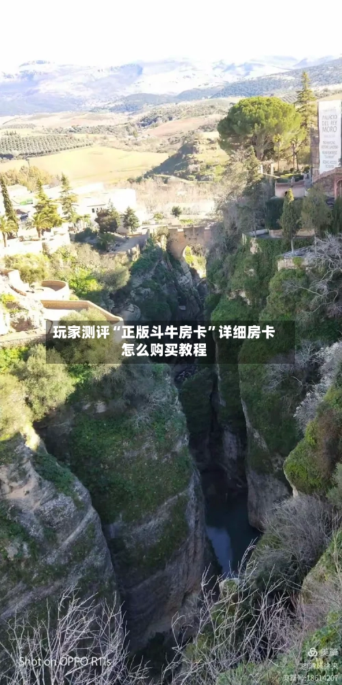 玩家测评“正版斗牛房卡”详细房卡怎么购买教程-第2张图片