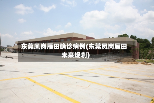 东莞凤岗雁田确诊病例(东莞凤岗雁田未来规划)-第2张图片