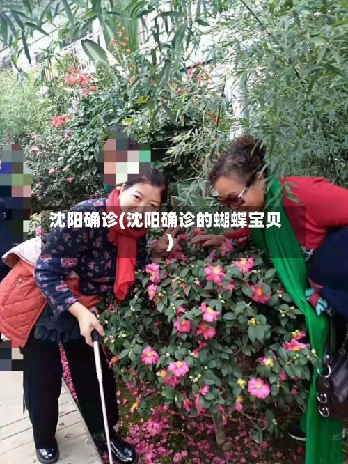 沈阳确诊(沈阳确诊的蝴蝶宝贝)