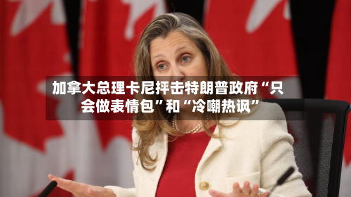加拿大总理卡尼抨击特朗普政府“只会做表情包”和“冷嘲热讽”-第1张图片
