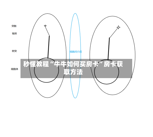 秒懂教程“牛牛如何买房卡”房卡获取方法-第3张图片