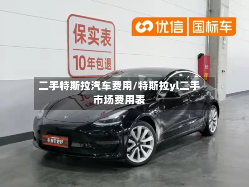 二手特斯拉汽车费用/特斯拉yl二手市场费用表