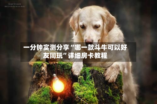 一分钟实测分享“哪一款斗牛可以好友同玩”详细房卡教程-第2张图片