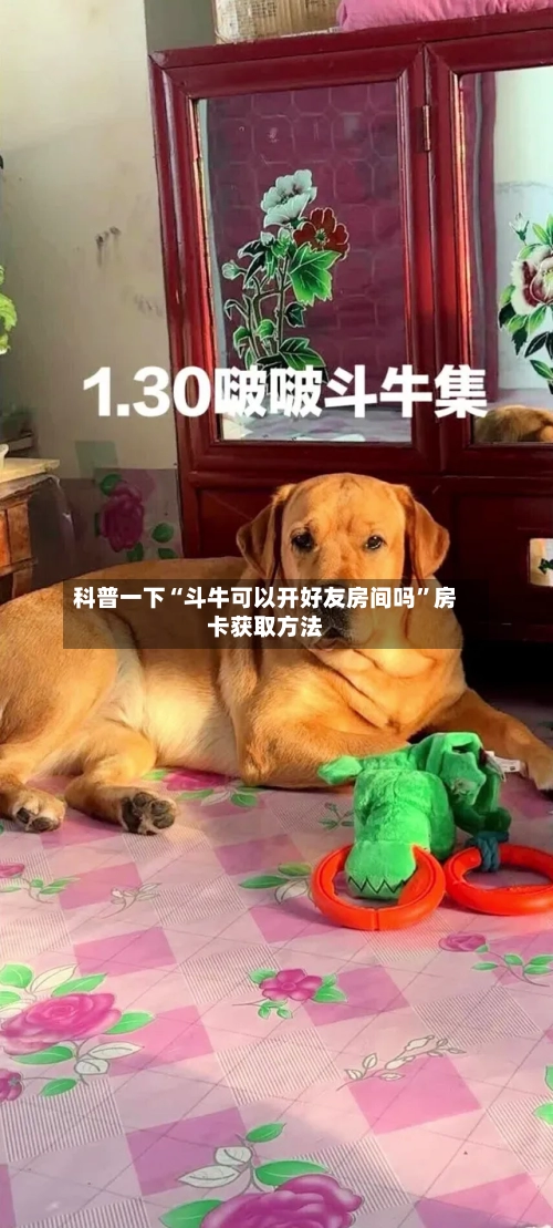 科普一下“斗牛可以开好友房间吗”房卡获取方法-第2张图片
