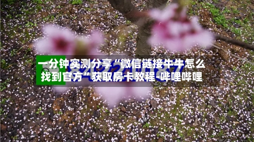 一分钟实测分享“微信链接牛牛怎么找到官方”获取房卡教程-哔哩哔哩