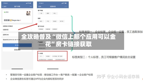 全攻略普及“微信上那个应用可以金花”房卡链接获取-第2张图片