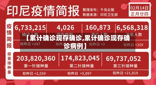 【累计确诊现存确诊,累计确诊现存确诊病例】-第2张图片