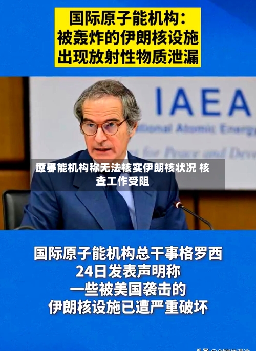世界原子能机构称无法核实伊朗核状况 核查工作受阻-第2张图片