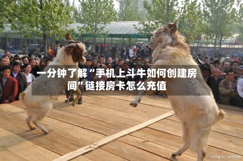 一分钟了解“手机上斗牛如何创建房间”链接房卡怎么充值-第3张图片