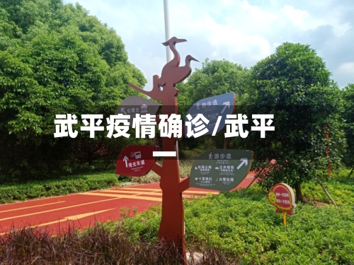 武平疫情确诊/武平一-第3张图片