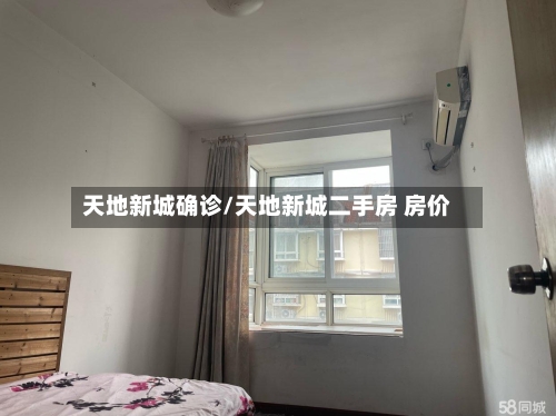 天地新城确诊/天地新城二手房 房价-第3张图片