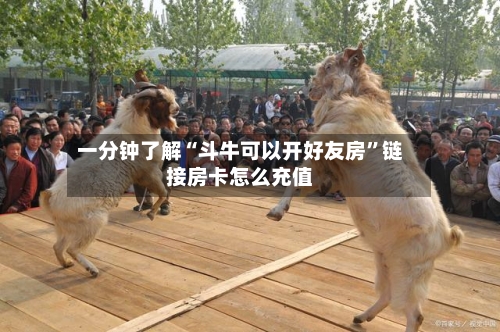 一分钟了解“斗牛可以开好友房”链接房卡怎么充值-第2张图片
